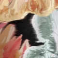 IMG_9340.jpeg